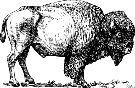 bison Àwọn Ojúewé Àwọ̀ Tí A Tẹ̀wé